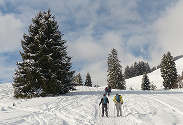 Cross country skiing in Montana