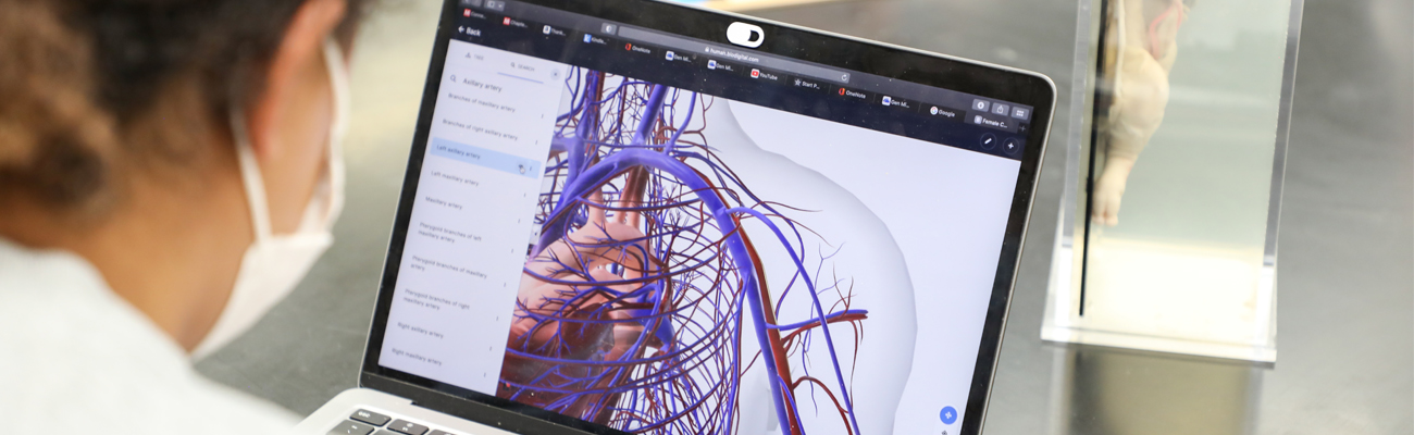 Student looking at the anatomy of the heart on a laptop