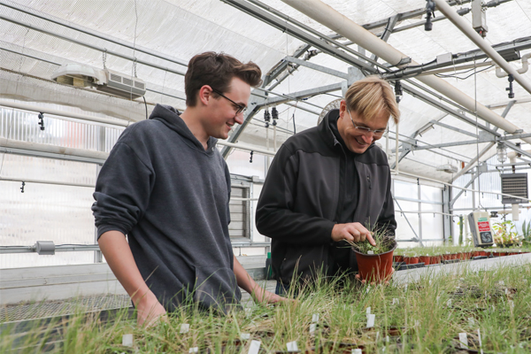 Faculty member, Robert Pal, and a student looking at plant samples