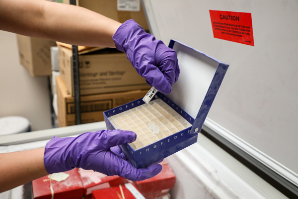 Student putting a test tube in a box