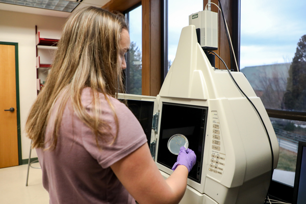 Student putting a petri dish in a machine