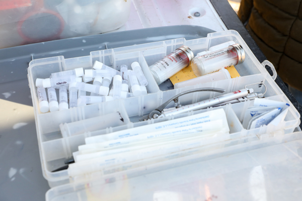 Veterinary equipment in a box