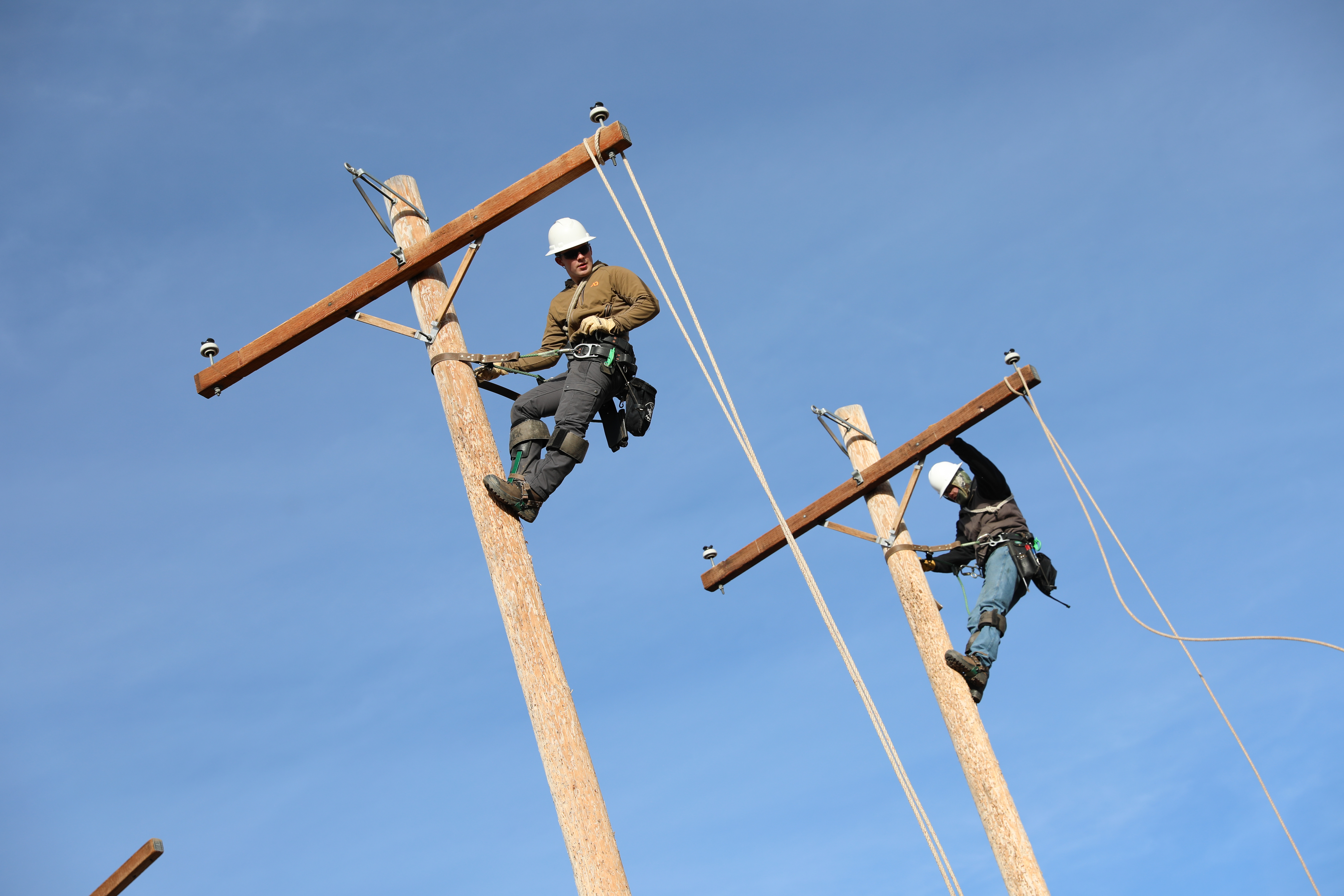 students working at line poles.