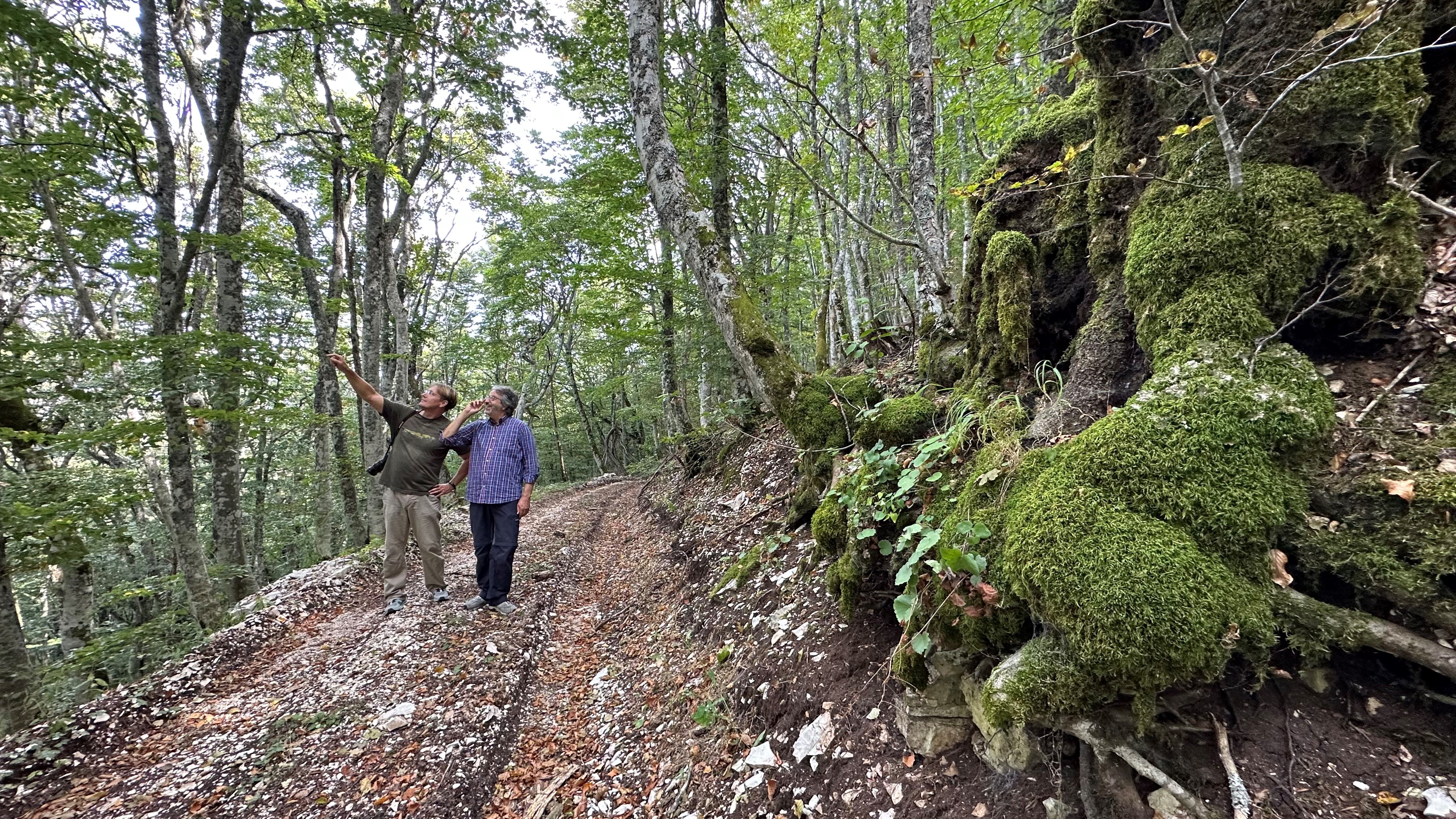 !Professor Robert Pal points something out in the forest.