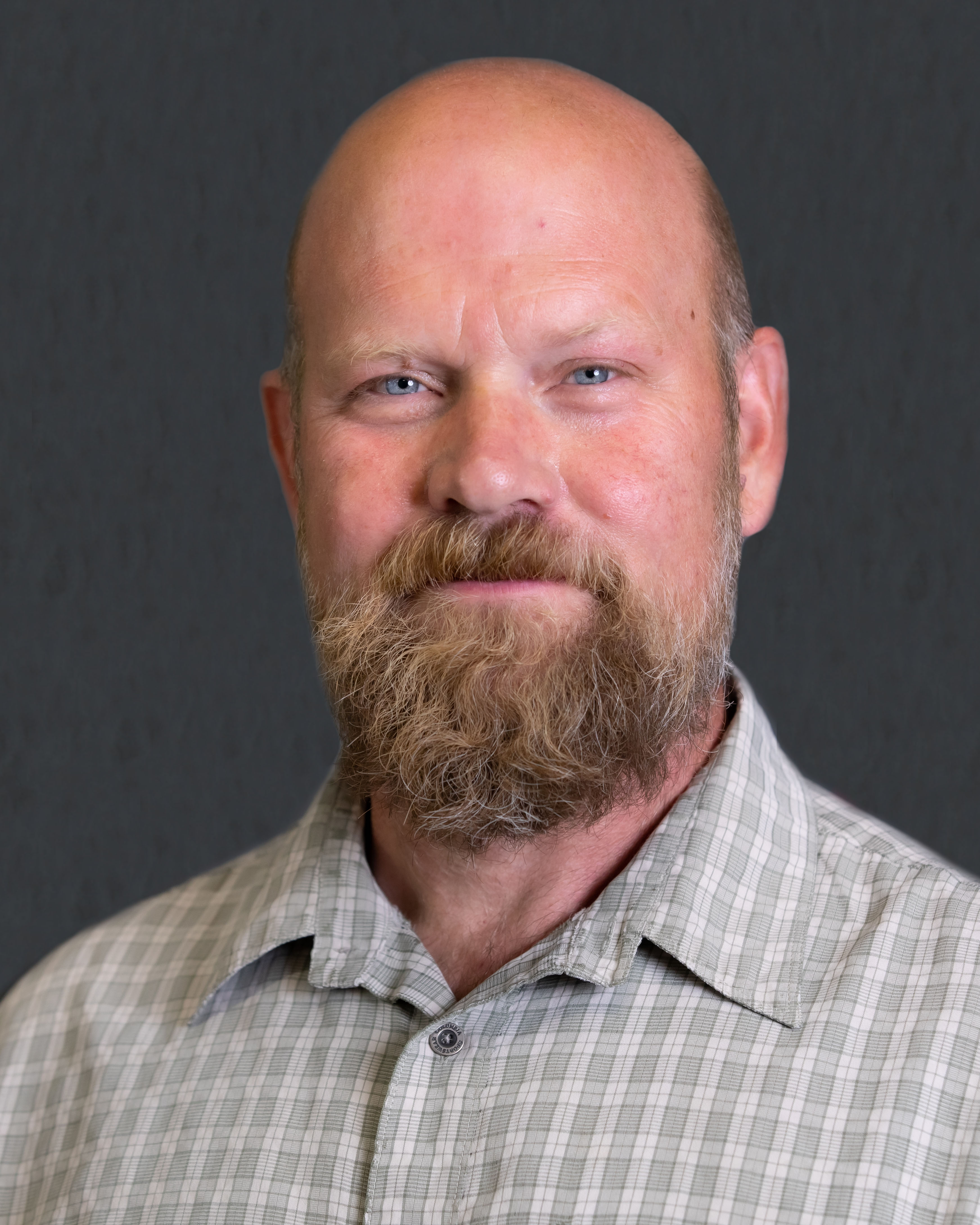 David Hutchins