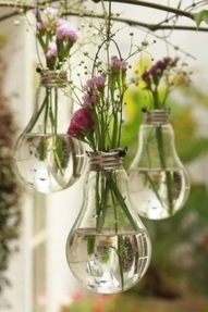 light bulb vases