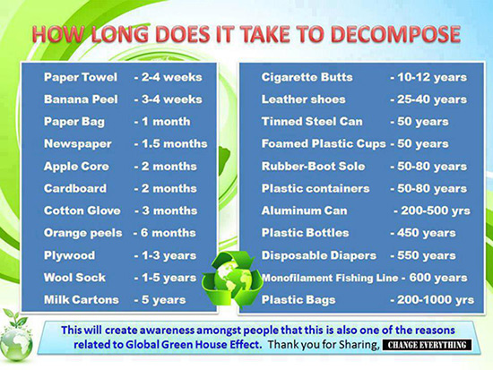 how long do items take to decompose?
