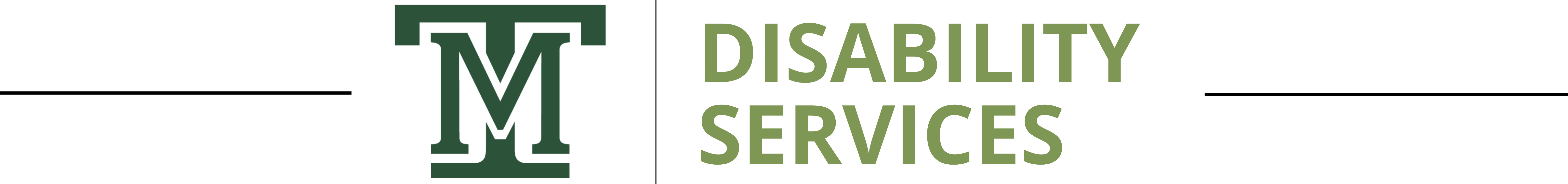 Disability Services banner