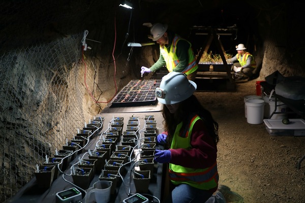 Students hard at work in a lab.