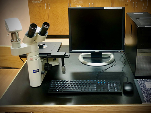 Leica S8AP0 Stereo Microscope