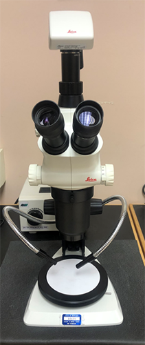 Leica S8AP0 Stereo Microscope, magnification up to 80X.
