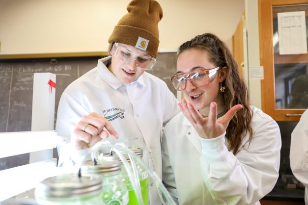 Students work with jars full of bright green fluid in a laboratory