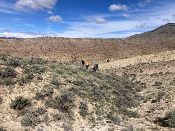 Students conduct field work
