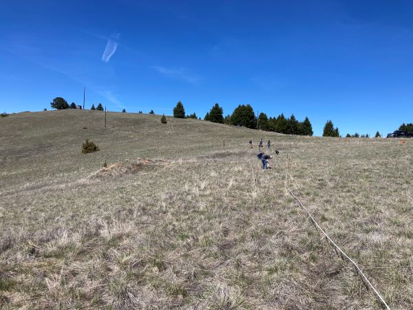 Students conduct fieldwork