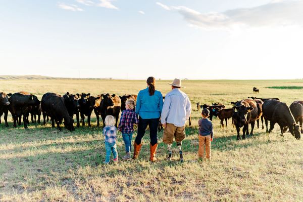 Stick Leg Ranch