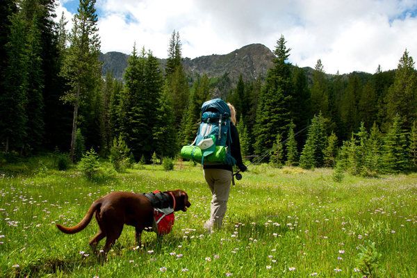 Backpacking in the Pintler-Anaconda Wilderness.