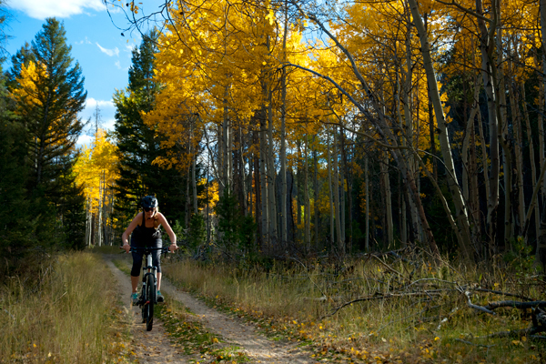 Mountain biking in Thompson Park